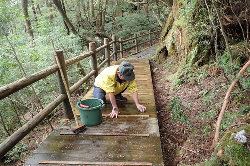 木道を金たわしで擦る様子