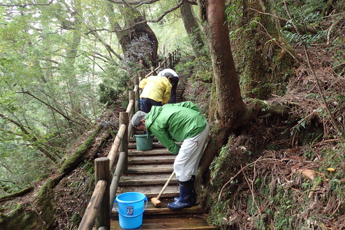 木道をデッキブラシで擦る様子