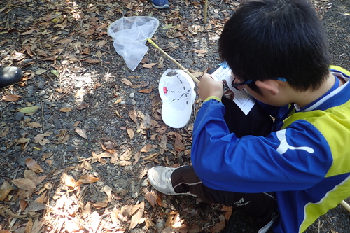 アサギマダラを捕獲してマーキングしている子ども