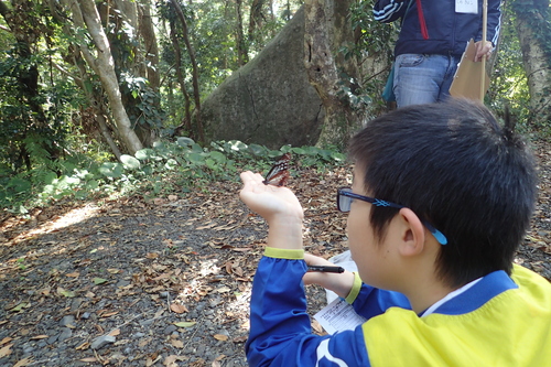 マーキングを終えて手のひらでアサギマダラを観察する子ども