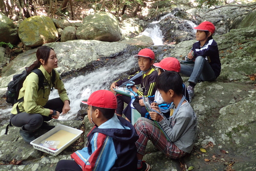 糞について考察する児童