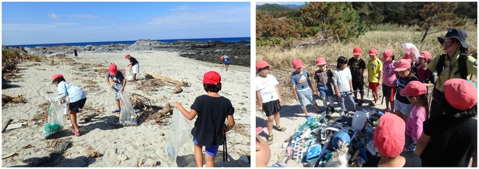 海岸清掃の様子