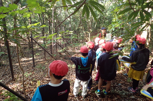 植生保護柵の見学