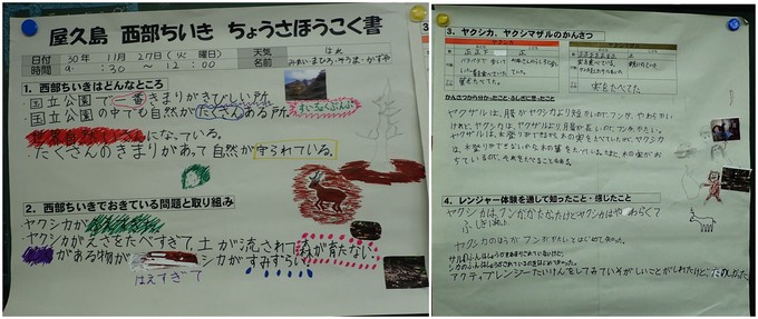 児童が作成した調査報告書