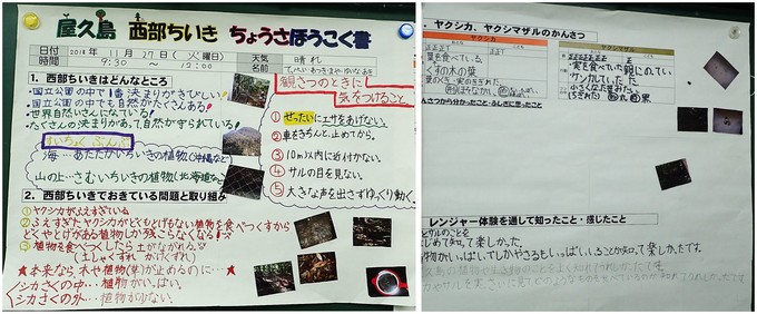 児童が作成した調査報告書