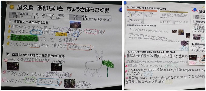 児童が作成した調査報告書