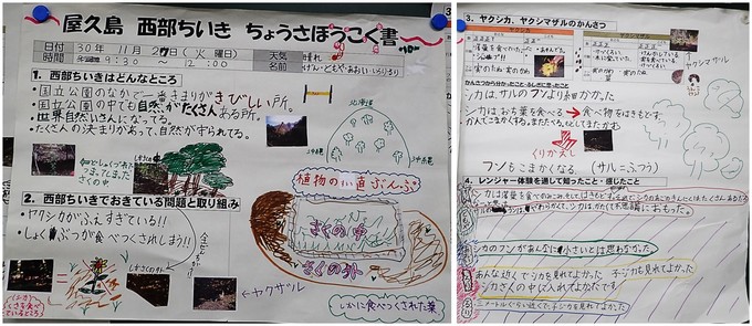 児童が作成した調査報告書