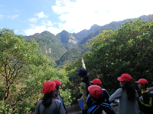 西部地域で植生の垂直分布を観察する様子