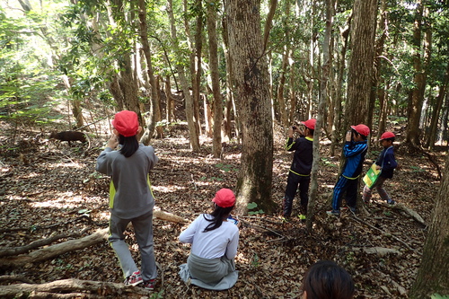 シカを間近で観察する児童