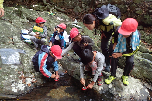 沢で糞を洗う様子