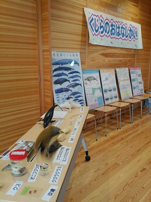 クジラの歯・髭・骨など