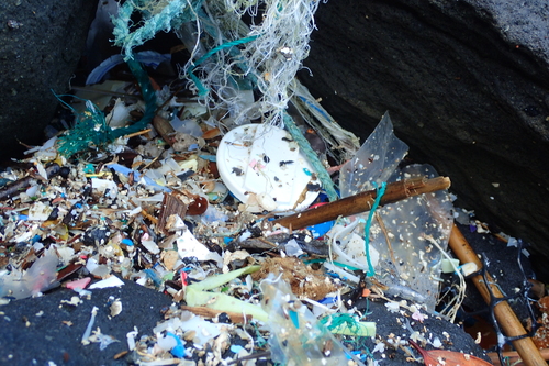 細かくなったプラスチックゴミ