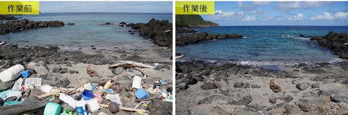 清掃前と後の浜の様子