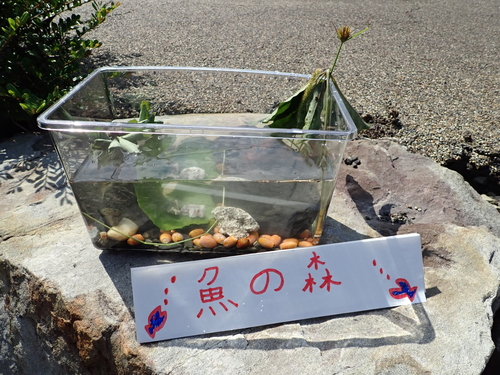 子どもが作った水槽2