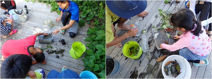 水槽づくりの様子