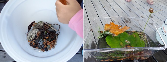 集めた水槽の材料