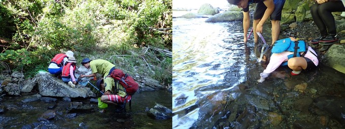 生き物採集の様子