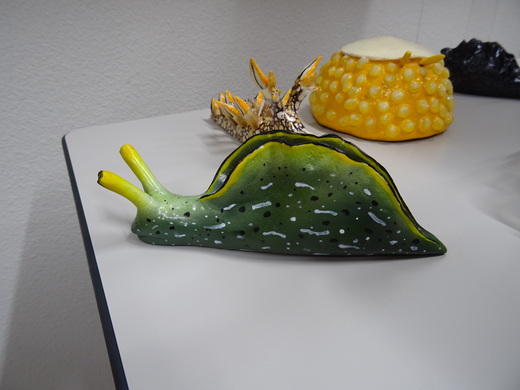 コノハミドリガイのレプリカ（2019年10月撮影）