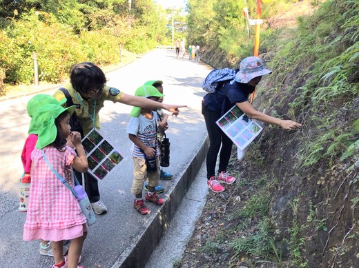 何があるのかな？