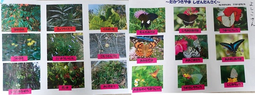 高月山で見られる生き物