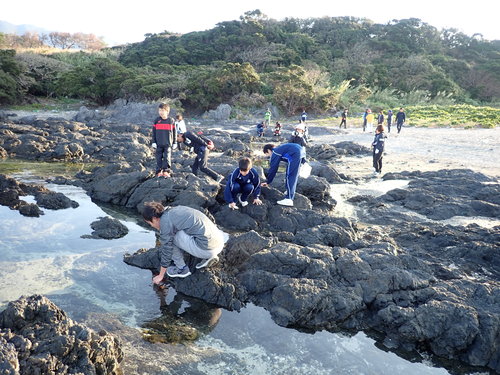 海岸でミッションカードに書かれた生き物を探す子ども達