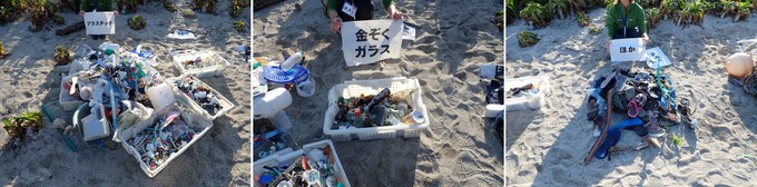 家庭ゴミを分別した様子