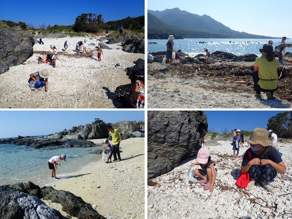 ビーチコーミングの様子