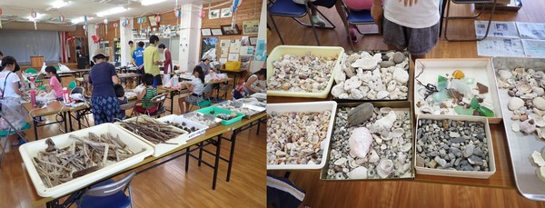 クラフトの素材