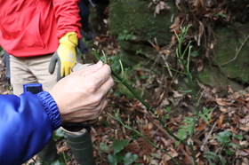 2021.1.13シカ調査-3