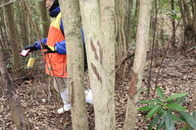 2021.1.13シカ調査-5