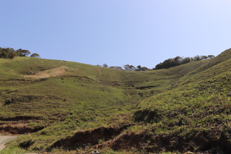2021.3.24上段の野