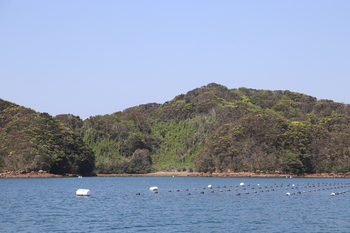 2021.4.7トコイ島3