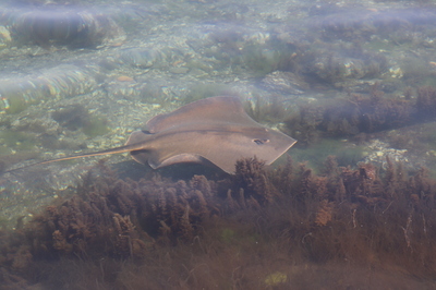 2021.4.7トコイ島
