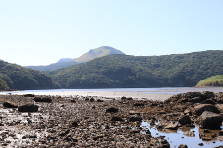 2021.10.6カブトガニ