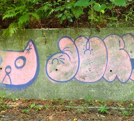 林道内の壁に書かれた落書き