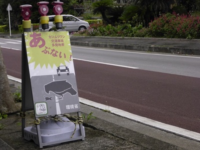 カンムリワシ交通事故防止看板