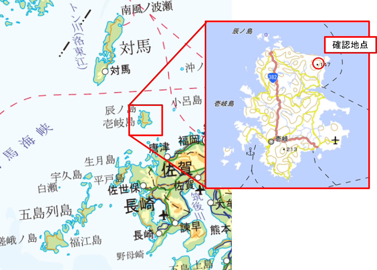 確認地点(長崎県壱岐市芦辺町)
