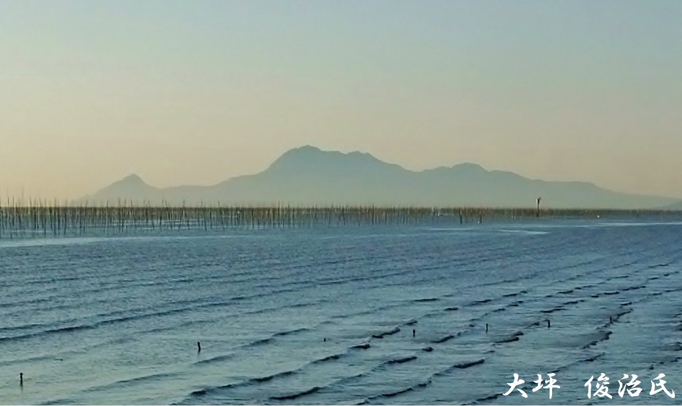 大坪 俊治氏の撮影写真