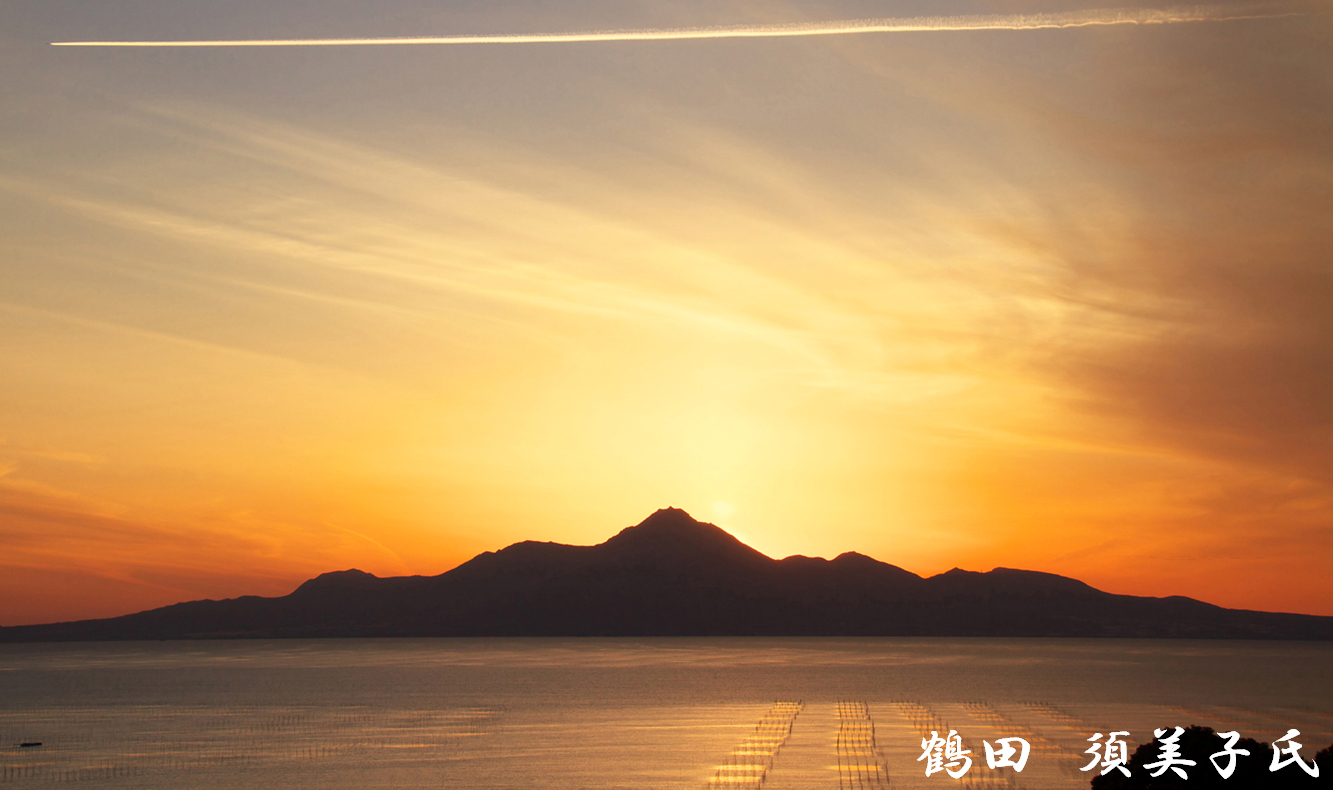 鶴田 須美子氏の撮影写真