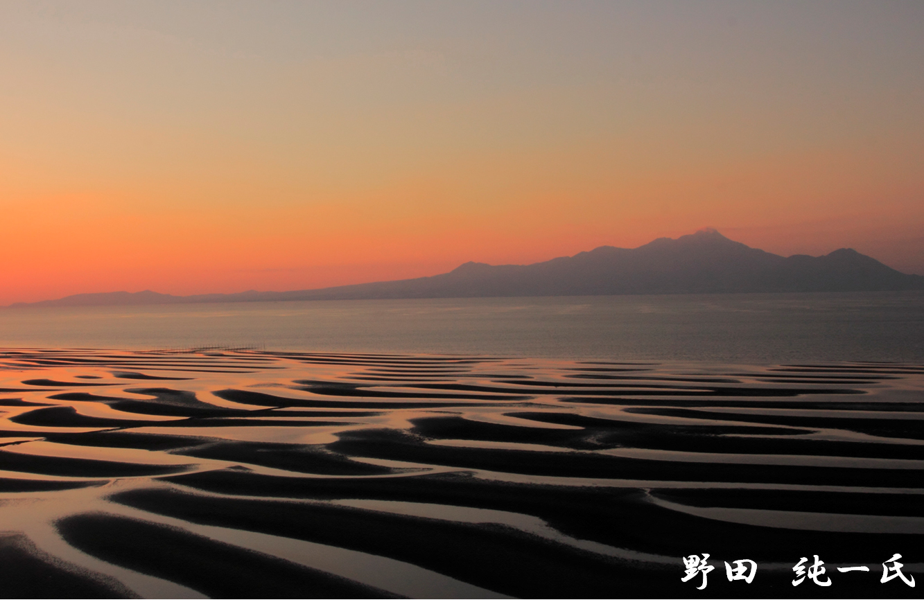 野田 純一氏の撮影写真