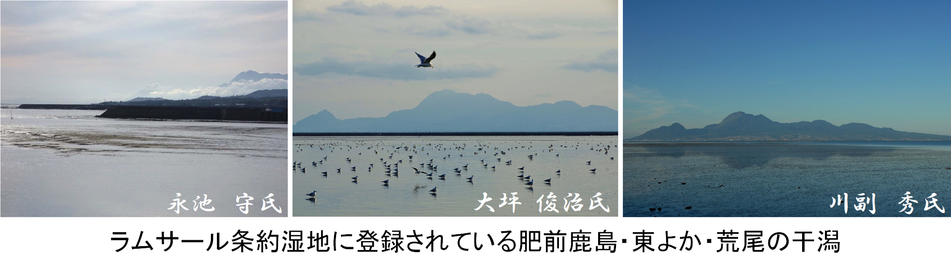 ラムサール条約湿地に登録されている肥前鹿島、東よか、荒尾の干潟