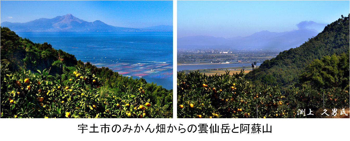 宇土市のみかん畑からの雲仙岳と阿蘇山