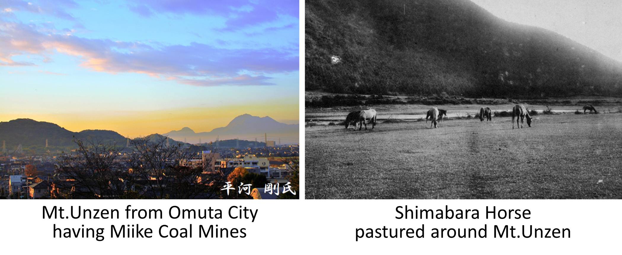 Mt.Unzen from Omuta City having Miike Coal Mines Shimabara Horse pastured around Mt.Unzen