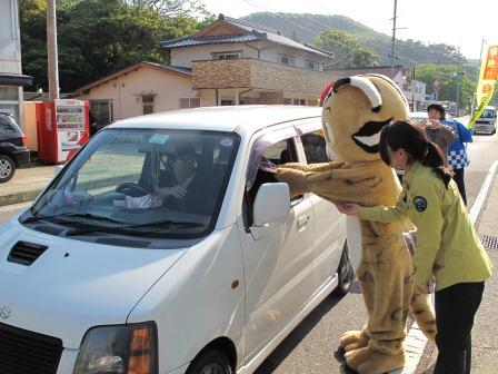 つばきちゃんもチラシ配り