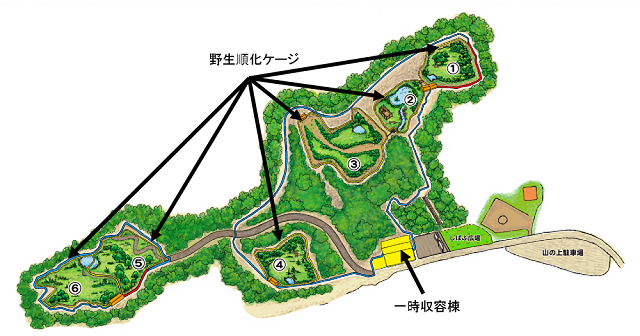 野生順化ステーションの全体図