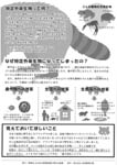 特定外来生物のアライグマってどんな動物? P.2