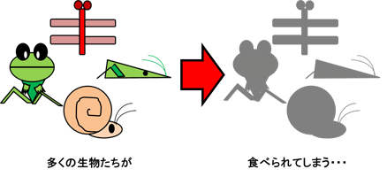 図:多くの生物たちが食べられてしまう