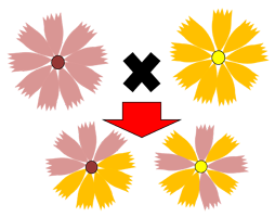 図：交雑のイメージ
