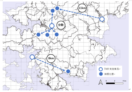 TNRした個体が山間部でノネコとして捕獲された例