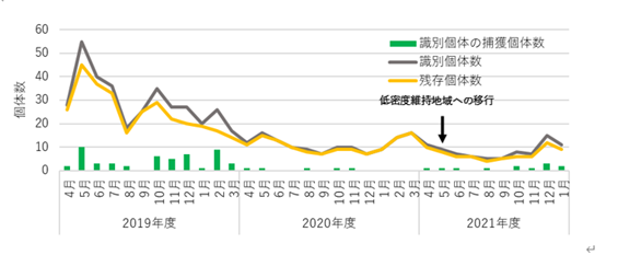 2019年4月から捕獲作業を続けているエリアにおける山中の識別個体の推移
